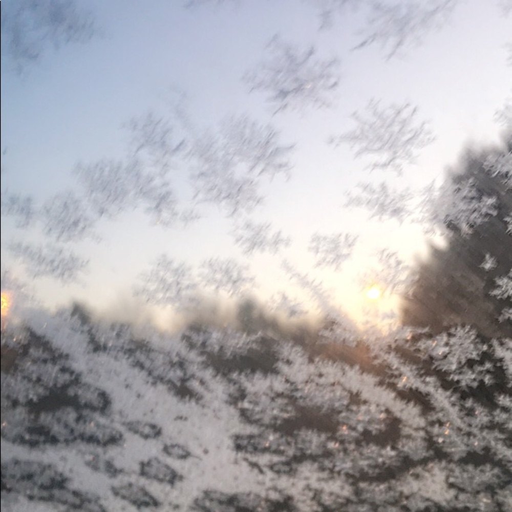 Meet your Posher, Nahid